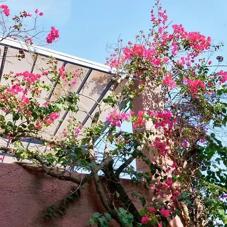 Best View Apartment 1. Barbati Exterior foto
